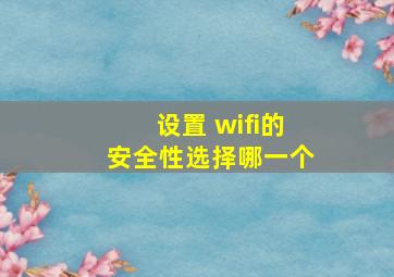 设置 wifi的安全性选择哪一个